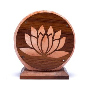 Zoutlamp lotus met snoer en LED lamp