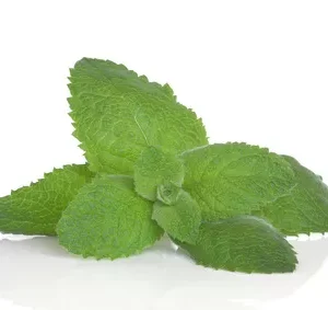 Citronella