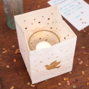 Gift of Light met envelop duif