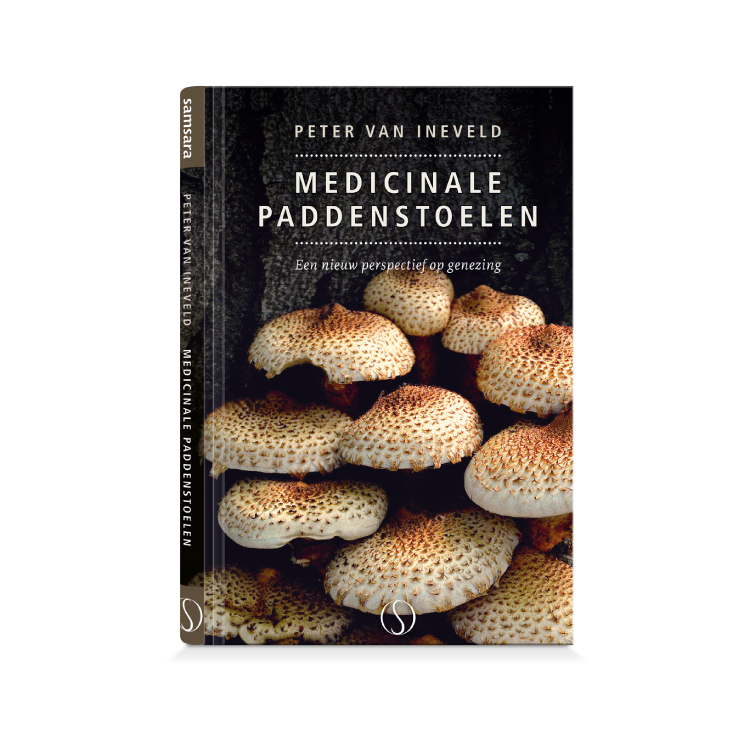 Medicinale paddestoelen