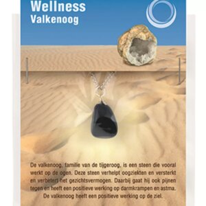 Gezondheidshanger valkenoog