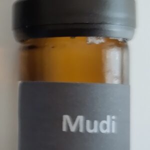 Kosmisch Geneesmiddel Mudi