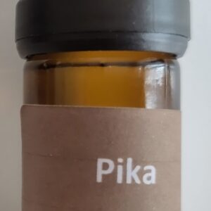 Kosmisch Geneesmiddel Pika