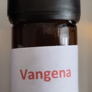 Kosmisch Geneesmiddel Vangena