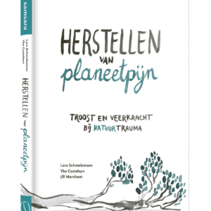 Herstellen van Planeetpijn