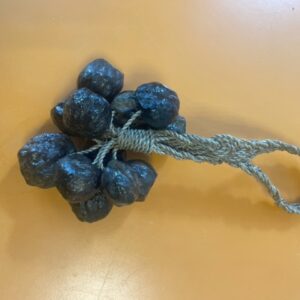 Shamanistische seedshaker